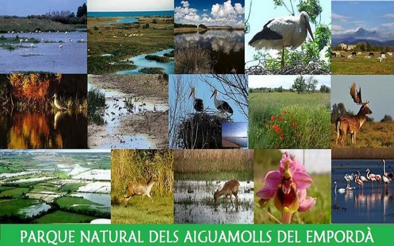 Parque Natural dels Aiguamolls del Emporda en Empuriabrava