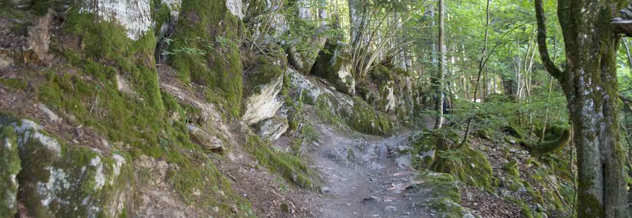 Ruta Circular Embalse de Irabia Selva de Irati